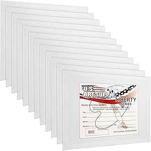 US Art Supply 20 X 24C` vA[eBXgi _LoXpl{[h Gp 12pbN (VOLoX{[hpl12̃tP[X1) U.S. Art Supply US Art Supply 20 X 24 inch Professiona