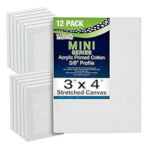 US Art Supply 3C` x 4C` ~jvtFbVihXgb`LoX (~jLoX121pbN) U.S. Art Supply US Art Supply 3" x 4" Mini Professional Primed Stretched Canvas (1-Pack of 12-Mini C