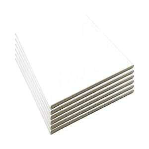 LWR CRAFTS Xgb`LoX 10C` x 10C` 6pbN LWR CRAFTS Stretched Canvas 10" X 10" Pack of 6