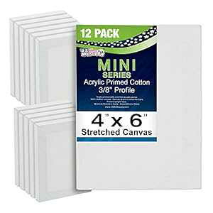 U.S. Art Supply US Art Supply 4" x 6" Mini Professional Primed Stretched Canvas (1-Pack of 12-Mini Canvases)