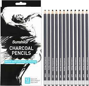 Sunshilor Professional Charcoal Pencils Drawing Set - 12 Pieces Soft Medium and Hard Charcoal Pencils for Drawing, Sketching, Shading, Artist Pencils for Beginners & Artists