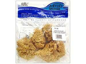 ROYAL BRUSH Royal Sponges Wool Set 3pc