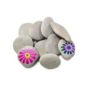 Lifetop 10 yCgbN DIYbN tbg&X[YȗDbN A[gAH|Ap yCgp~fBAbN yCgbNpɌI Lifetop 10PCS ting Rocks, DIY Rocks Flat & Smooth Kindn