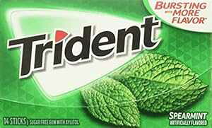 gCfg XyA~g t[o[ ouK 14 XeBbN (lbgJEg 15 pbN)A15  Trident Spearmint Flavor Bubble Gum 14 Sticks (Netcount 15 Pack), 15Count