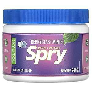 Spry Xylitol Berry Blast Mints Sugar Free Candy - Breath Mints That Promote Oral Health, Dry Mouth Mints That Increase Saliva Production, Stop Bad Breath, 240 Count (Pack of 1)
