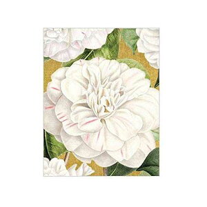 Caspari Camellia Garden �M�t�g�����J�[�h �S�[���h�A�����t�� 20 �� Caspari Camellia Garden Gift Enclosure Cards in Gold, 20 with Envelopes