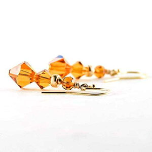 Ogp[YNX^COiS[hj Simple Graces Jewelry Long Topaz Crystal Earrings with Gold