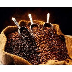 jJOA SHG Ep t@V[ tBJ  rA R[q[ (_[N [Xg (GNXvX)A5 |h̑S) RhoadsRoast Coffees Nicaragua SHG Ep Fancy Finca La Rubia Coffee Beans (Dark Roast (Expresso), 5 pounds W