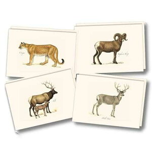 Earth Sky + Water - Western Mammal Assortment Notecard Set - 8 Blank Cards with Envelopes (2 each of 4 styles)