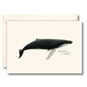 Earth Sky + Water - Humpback Whale Notecard Set - 8 Blank Cards with Envelopes