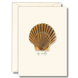 Earth Sky + Water - Bay Scallop Notecard Set - 8 Blank Cards with Envelopes