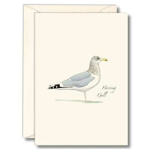 Earth Sky + Water - Herring Gull Notecard Set - 8 Blank Cards with Envelopes