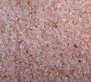 1|h ō̋ɍחiVFCJ[pjq}̐̉O\gIR[VA`qg݊A100VRIƋCɓ͂ł! Salt Life 1 lb. Best Extra-Fine Grain (For Shakers) Hi