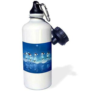 3dRose a Group of Adorable Baby Harp Seals at Christmas Time Wearing Santa Hats and Glowing Candles Sports Water Bottle, 21 oz, White