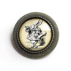 �s�v�c�̍��̃A���X ���E�T�M�̃K���X�Ɛ^�J�̃u���[�` The Divine Iguana Alice in Wonderland White Rabbit glass and brass brooch