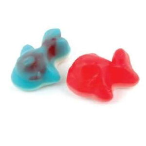 �����N�W�� -20�|���h Dylmine Health Filled Whales -20Lbs