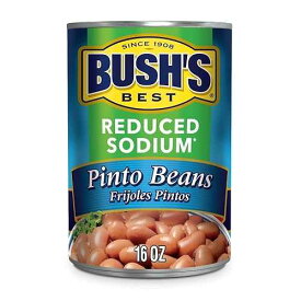BUSH'S BEST Pinto Beans, 16 Ounce Can, Canned Beans, Pinto Beans Canned, Source of Plant Based Protein and Fiber, Low Fat, Gluten Free, For Soups, Salads and More