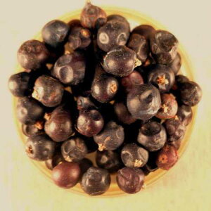 �W���j�p�[�x���[ - 5�|���h �o���N Spices For Less Juniper Berries - 5 lbs Bulk