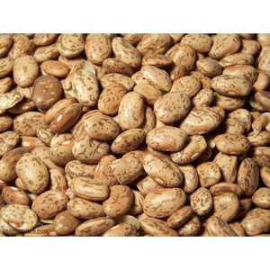 �I�[�K�j�b�N�s���g�r�[���Y - 24.948�|���h Dylmine Health ORGANIC PINTO BEANS- 24.948lb