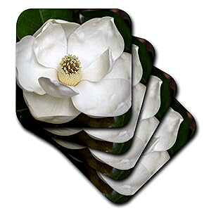 3dRose CST_53630_3 A Garden Magnolia Flower Ceramic Tile Coasters, Set of 4