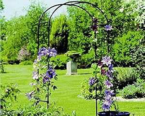 Gardman R350 [YK[fA[`A19 x 39 x 75 C`AubN Gardman R350 Rose Garden Arch, 19 x 39 x 75 inches, Black