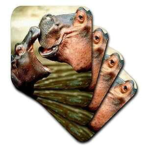 3dRose cst_54156_3 }} JoԂɃLXZ~bN ^C R[X^[A4 Zbg 3dRose cst_54156_3 Mama Hippo Kisses Her Baby-Ceramic Tile Coasters, Set of 4