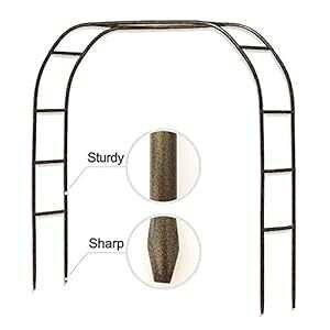 メタルガーデンアーチ、高さ7.8フィート x 幅5.5フィートの丈夫な金属アーバー、つるや植物を登る鋭い端付き、結婚式キンセアニェーラパーティーデコレーション LeJoy Garden Metal Garden Arch,7.8 F