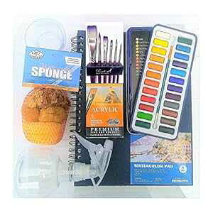 Online Art Supplies Watercolor Cake Set 24 Color in Metal Tin Also Includes a Water Color Journal, Clear Travel Case - Limited Edition