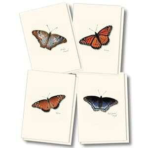 Earth Sky + Water - Butterfly Assortment II m[gJ[h Zbg - tuNJ[h 8  (4 X^Ce 2 ) Earth Sky + Water - Butterfly Assortment II Notecard Set - 8 Blank Cards with Envelopes (2 each of 4