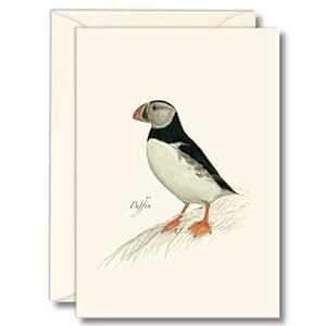 Earth Sky + Water - ptB m[gJ[h Zbg - tuNJ[h 8  Earth Sky + Water - Puffin Notecard Set - 8 Blank Cards with Envelopes