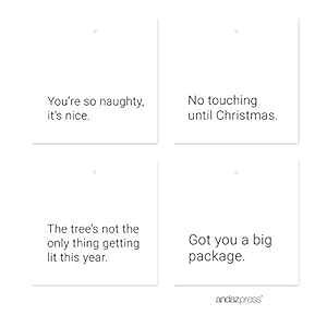 Andaz Press NX}XRNVAt@V[t[Mtg^OAʔ@mɕx񂾁ABe[WX^CA24pbN Andaz Press Christmas Collection, Fancy Frame Gift Tags, Funny Witty, Vintage C