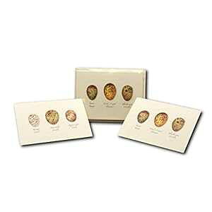 Earth Sky + Water - Bird Egg Assortment II �m�[�g�J�[�h �Z�b�g - �����t���u�����N�J�[�h 8 �� (2 �X�^�C���e 4 ��) Earth Sky & Water Earth Sky + Water - Bird Egg Assortment II Notecard Set - 8 Blank Cards with Envel