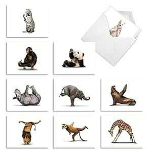 ō̃J[h - t̔TL[m[g10AjƏɊӂ`邽߂̋lߍ킹 - Zoo Yoga M6547TYG The Best Card Company - 10 Boxed Thank You Notes w/Envelopes, Assorted Stationery to S