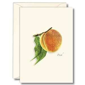 Earth Sky + Water - s[` m[gJ[h Zbg - tuN J[h 8  Earth Sky + Water - Peach Notecard Set - 8 Blank Cards with Envelopes
