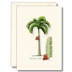 Earth Sky + Water - �N���X�}�X �p�[�� �m�[�g�J�[�h �Z�b�g - �����t���u�����N�J�[�h 8 �� Earth Sky + Water - Christmas Palm Notecard Set - 8 Blank Cards with Envelopes