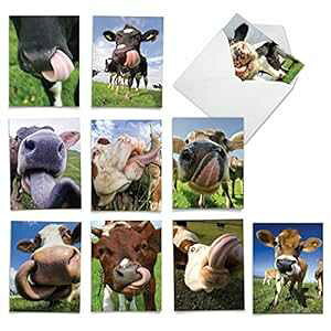 The Best Card Company - 炵m[gJ[h 10  uN (4 x 5.12 C`) - 쐶Ɠ̃J[hAlߍ킹{bNXLbYZbg - Cowlicks M4604OCB-B1x10 The Best Card Company - 10 Adorable Note Car