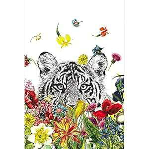 Tree-Free Greetings @Ɏgm[gJ[h 12 pbNAɗDAčA100% ĐA4C` x 6 C`AzCg^CK[t[ (FS56930) Tree-Free Greetings 12 Pack All Occasion Notecar