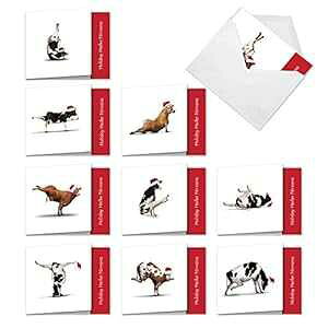 The Best Card Company - 󔒂̓NX}Xm[gJ[h 10  - qp̃oNzf[J[hAy쐶 (4 x 5.12 C`) - NX}XJEK MQ6545XSB-B1x10 The Best Card Company - 10 Blank Animal 