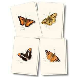 Earth Sky + Water - Western Butterfly �A�\�[�g�����g I �m�[�g�J�[�h �Z�b�g - �����t���u�����N�J�[�h 8 �� (4 �X�^�C���e 2 ��) Earth Sky + Water - Western Butterfly Assortment I Notecard Set - 8 Blank Cards with Envelope
