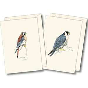Earth Sky + Water - Sibley Raptor A\[gJ[hZbg - tuNJ[h 8  (2 X^Ce 4 ) Earth Sky + Water - Sibley Raptor Assortment Notecard Set - 8 Blank Cards with Envelopes (4 each of 2 styles)