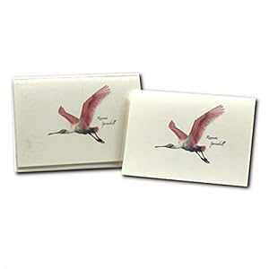 Earth Sky + Water - xjwTM m[gJ[h Zbg - tuN J[h 8  Earth Sky & Water Earth Sky + Water - Roseate Spoonbill Notecard Set - 8 Blank Cards with Envelopes