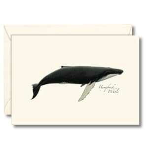Earth Sky + Water - UgENW m[gJ[h Zbg - uNJ[h 8 At Earth Sky + Water - Humpback Whale Notecard Set - 8 Blank Cards with Envelopes