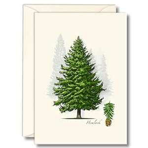 Earth Sky + Water - wbN m[gJ[h Zbg - tuNJ[h 8  Earth Sky + Water - Hemlock Notecard Set - 8 Blank Cards with Envelopes