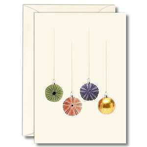 Earth Sky + Water - Sea Urchin NX}X m[gJ[h Zbg - uN J[h 8 At Earth Sky + Water - Sea Urchin Christmas Notecard Set - 8 Blank Cards with Envelopes
