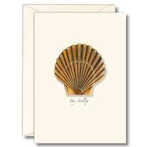 Earth Sky + Water - xCz^eLm[gJ[hZbg - uNJ[h 8 At Earth Sky + Water - Bay Scallop Notecard Set - 8 Blank Cards with Envelopes