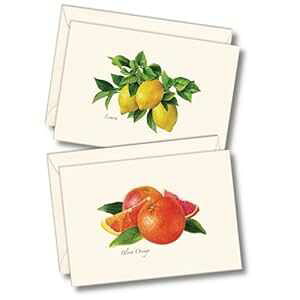 Earth Sky + Water - VgXA\[gm[gJ[hZbg - tuNJ[h 8  (2 X^Ce 4 ) Earth Sky + Water - Citrus Assortment Notecard Set - 8 Blank Cards with Envelopes (4 each of 2 styles)