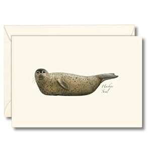 Earth Sky + Water - S}tAUV m[gJ[h Zbg - uN J[h 8 At Earth Sky + Water - Harbor Seal Notecard Set - 8 Blank Cards with Envelopes