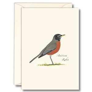 Earth Sky + Water - American Robin m[gJ[hZbg - tuNJ[h 8  Earth Sky + Water - American Robin Notecard Set - 8 Blank Cards with Envelopes