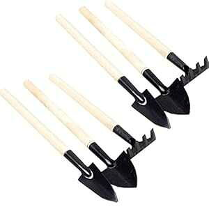 Eshylala K[fc[ ~jK[fjOLbg 6 AAt[KWFbg ؐnh c̈ڐAA͔|Ap Ԃ؂̕c Eshylala 6 Pcs Garden Tools Mini Gardening Kit Plant Potted Flower G