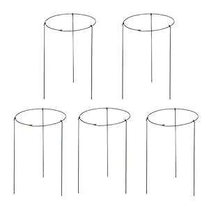 Hanobo Ap|AT|[gO 5 pbN  6 C` x  11 C`Ar 3 { Hanobo 5 Pack Garden Plant Support Rings for Potted Plant, 6" Wide x 11" High, 3 Legs